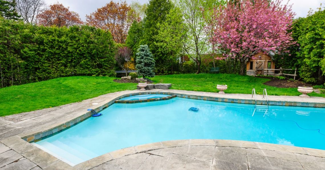 A backyard swimming pool surrounded by a stone patio, green lawn, tall hedges, and pink flowering trees.