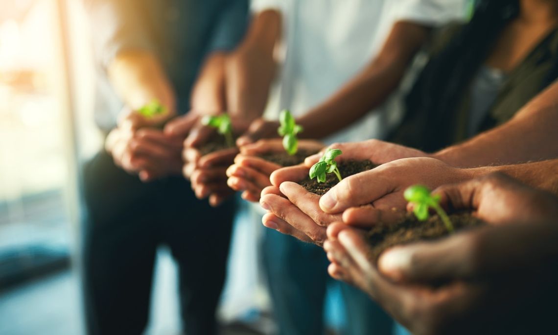 Five people stand next to each other with their arms extended. Each holds soil and a small plant in their hands.