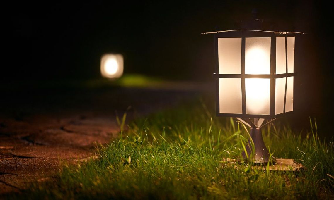 What Are the Best Lighting Options for Your Yard?