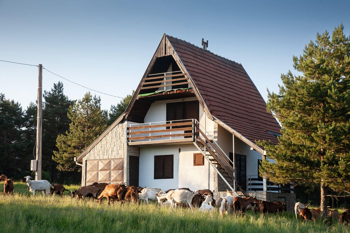 A property with a tall house that contains multiple decks. A herd of goats stand outside and graze in the tall grass.