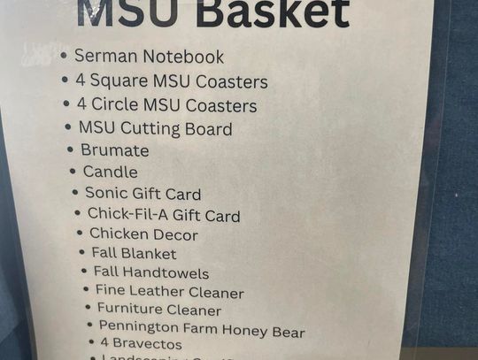 MSU Basket