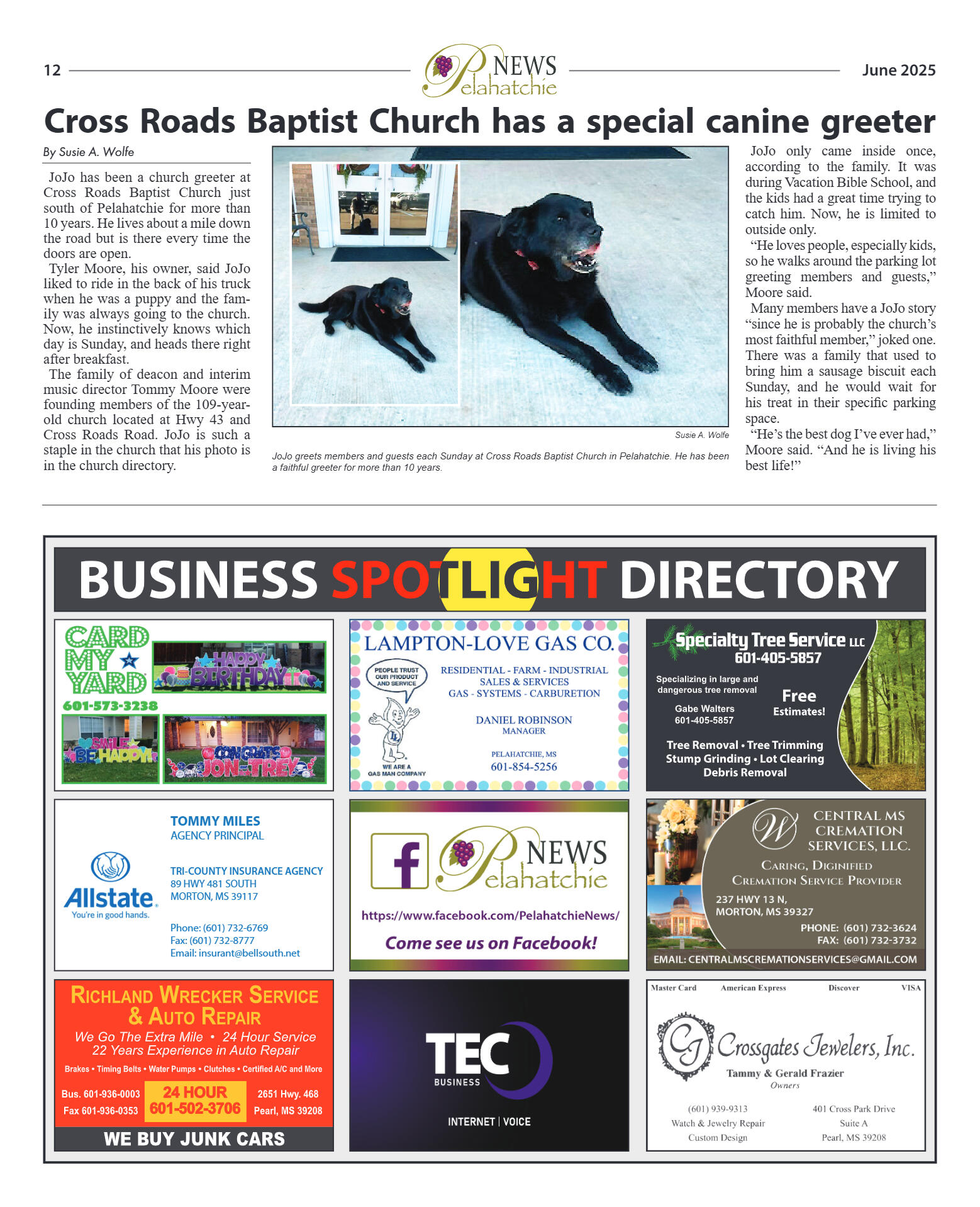 June 2025 - page 12