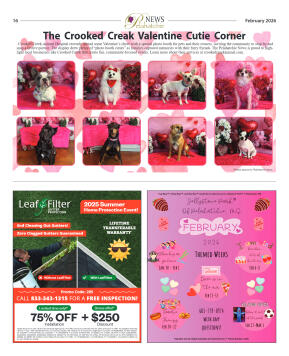 February 2026 - page 16