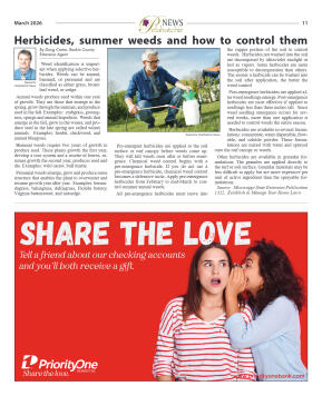 March 2026 - page 11