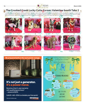 March 2026 - page 16