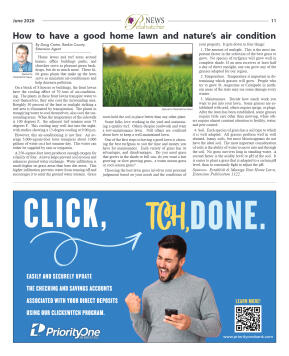 June 2026 - page 11